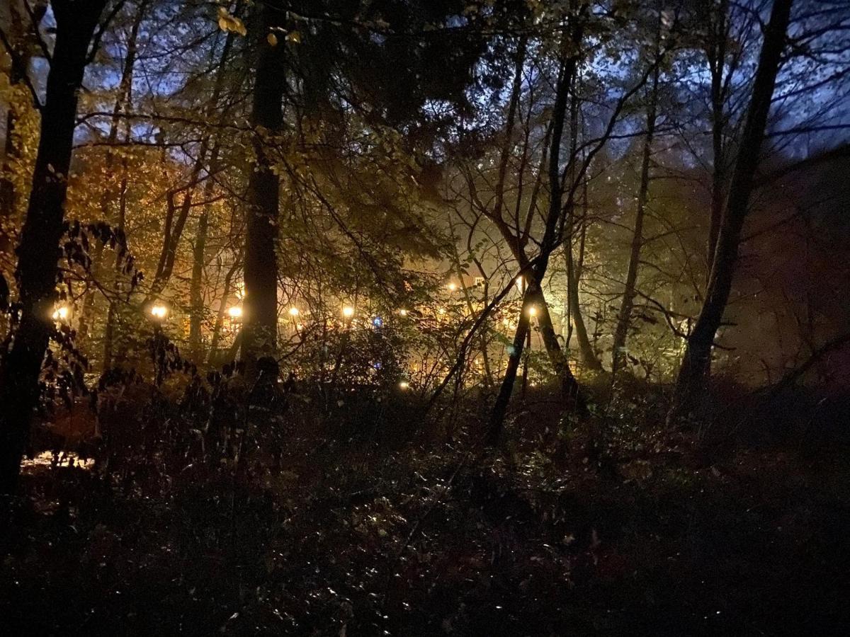 Waldhotel Silbermuehle Horn-Bad Meinberg Eksteriør billede