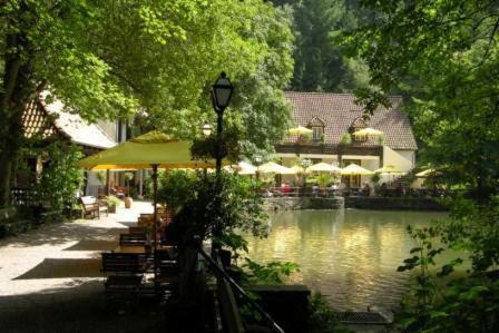 Waldhotel Silbermuehle Horn-Bad Meinberg Eksteriør billede